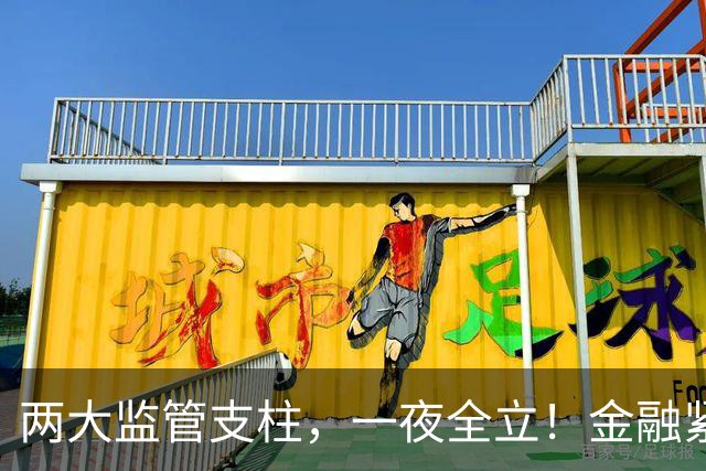 两大监管支柱，一夜全立！金融紧急出手，不是收紧，是保命！